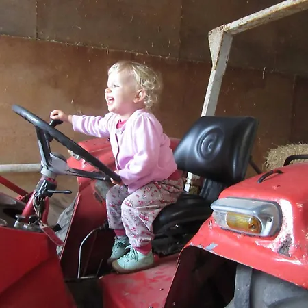 Ostsee * Steinberg (Schleswig-Holstein)